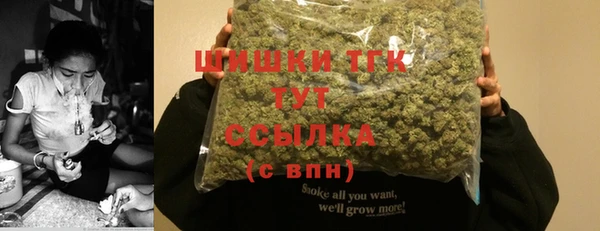 мдпв Волосово