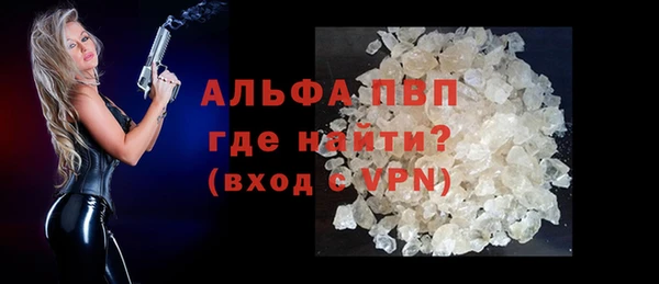стаф Володарск