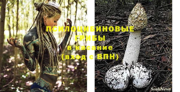 мдпв Волосово
