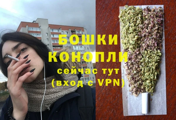 стаф Володарск